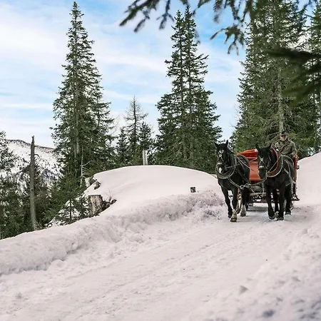 Falkensteiner Premium Edel:weiss 호텔